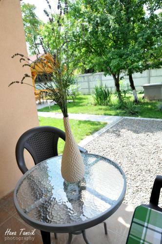 Apartments Svetlica