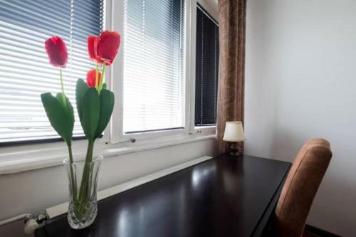 Apartment Platan