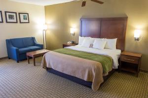 Hotel Comfort Inn Hammond
