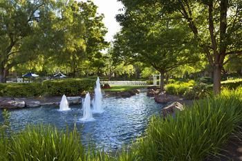 Hotel Four Points By Sheraton - Pleasanton