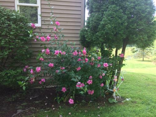 Posada Spruce Hill Inn & Cottages