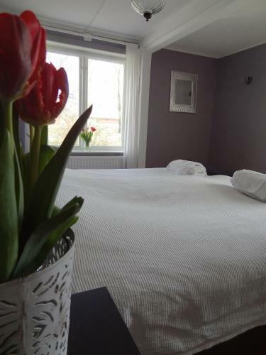 Hostal Hofsn�s Lilla Sj�stuga