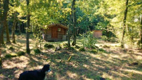Lodge Bokebacken