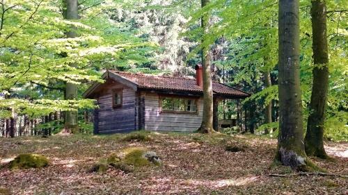 Lodge Bokebacken