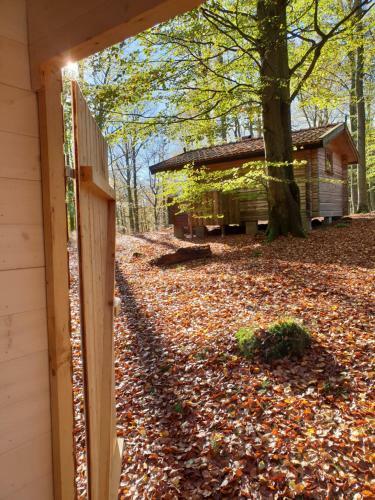 Lodge Bokebacken