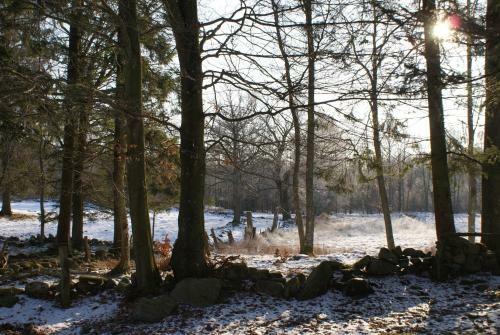 Lodge Bokebacken