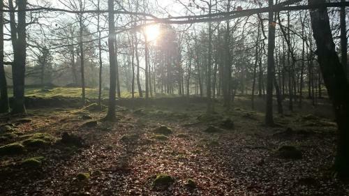 Lodge Bokebacken
