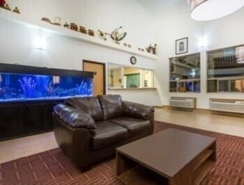 Motel Super 8 Pinetop