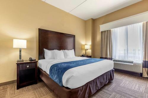 Hotel Comfort Suites Frisco
