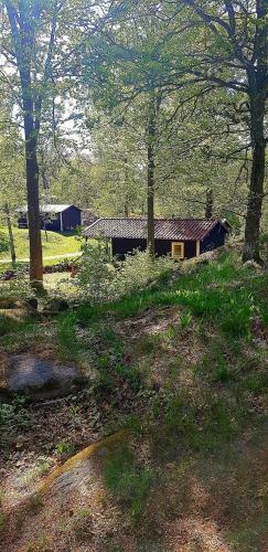 Kolleviks Camping