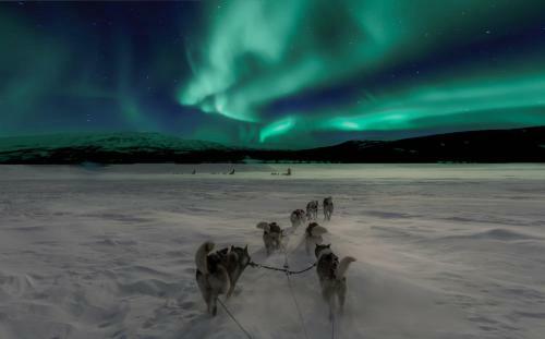 Bed & Breakfast Arctic Light Holiday House
