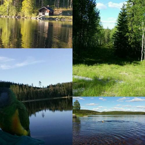 Holiday Home R�dvattnet