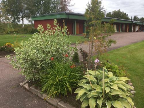 Hostal Bed And Breakfast Fyra H�star