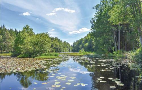 Four-bedroom Holiday Home In Tingsryd