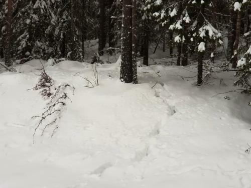 Apartamento Ume� Tavelsj�n L�genhetsboende