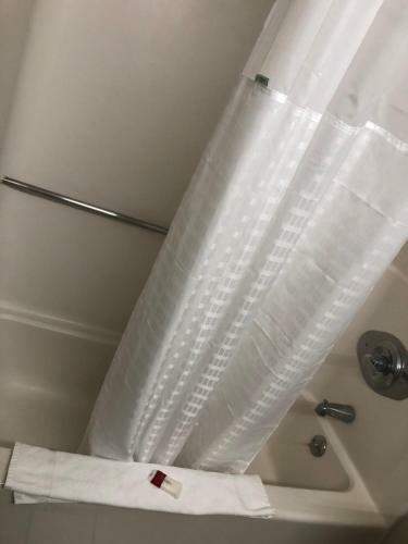 Hotel Days Inn Albany Airport