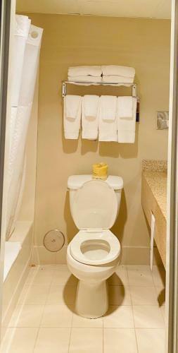 Hotel Days Inn Albany Airport
