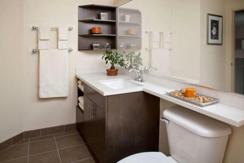 Hotel Sonesta Simply Suites Knoxville