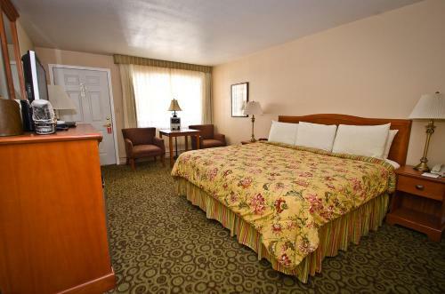 Motel Ouray Chalet Inn