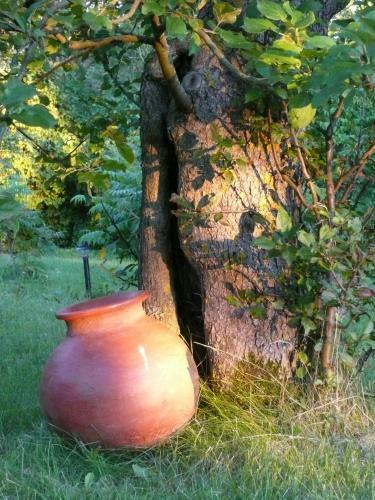 Hostal Swedish Idyll