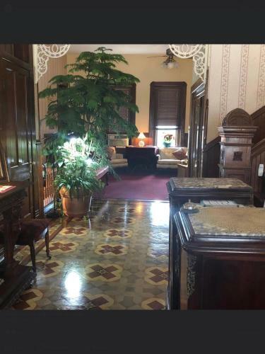 The Palace Hotel And Bath House Spa