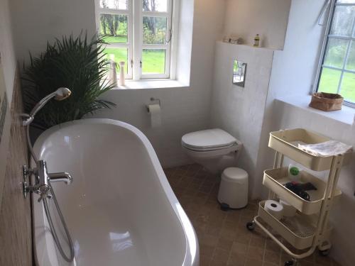 Bed & Breakfast Alsbrogaard