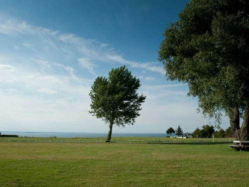 Three-bedroom Holiday Home In Brenderup Fyn 1