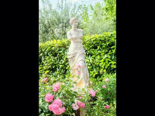 Agello Magione - Gelso