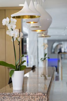 Hotel Palm Beach