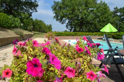 Agroturismo Casale Montemoro