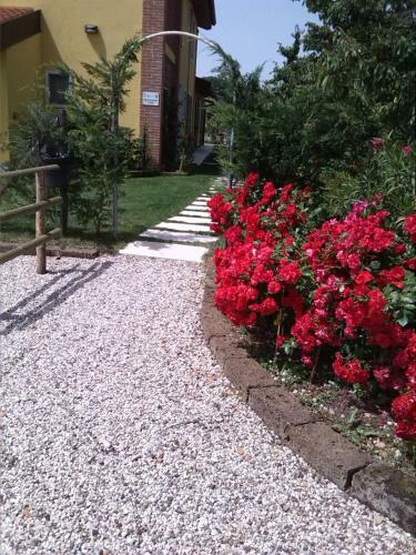 Agroturismo Agriturismo Ai Ciliegi