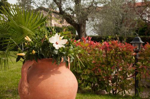 Apartamento Villa Mimosa