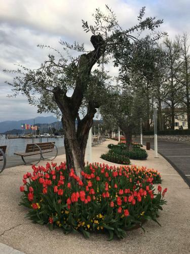 Apartamento Cab� Holiday Bardolino