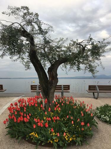 Apartamento Cab� Holiday Bardolino