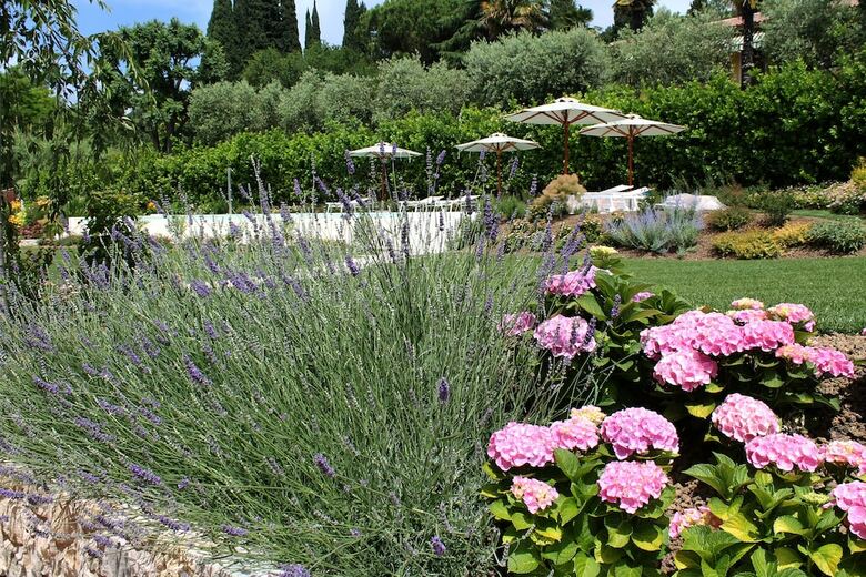 Agroturismo Ca Muretta Relais
