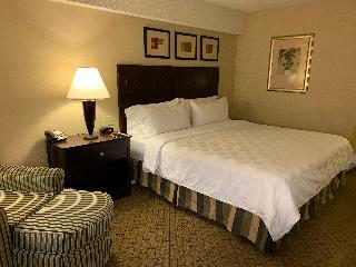 Hotel Holiday Inn Johnstown-downtown