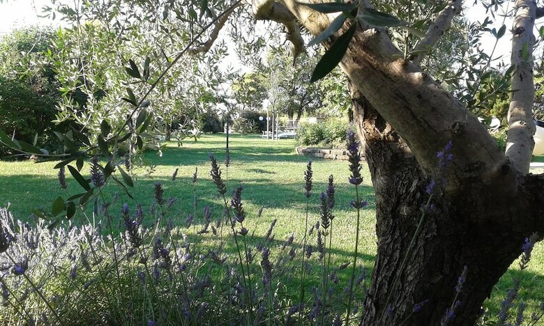 Agroturismo Fattoria Belvedere