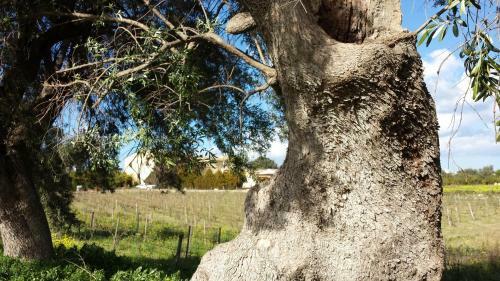 Agroturismo Case Del Feudo Di Pietro Beneventano