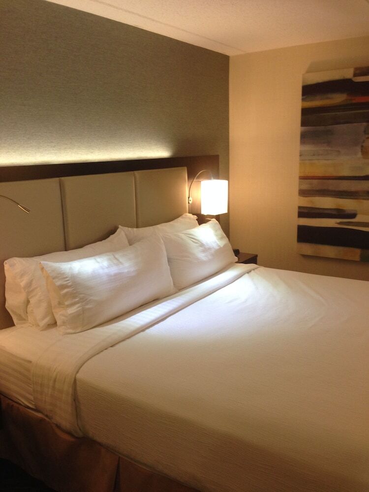Hotel Holiday Inn Youngstown-south (boardman)