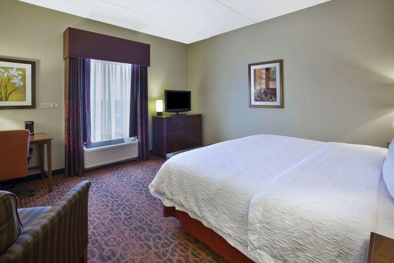 Hotel Hampton Inn Brockport