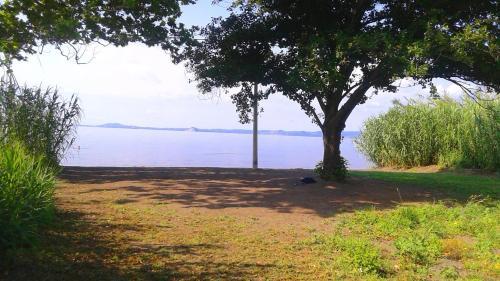 Giardini Del Lago / Feronia