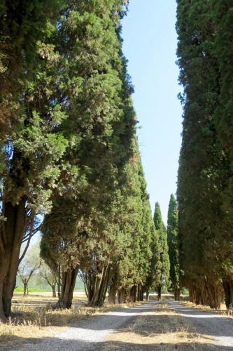 Podere Del Lago 250s