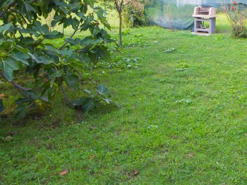 Locazione Turistica Lakeside Home