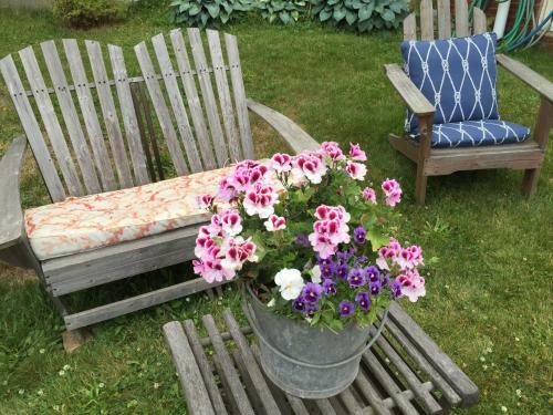 Harrington House Bed & Breakfast
