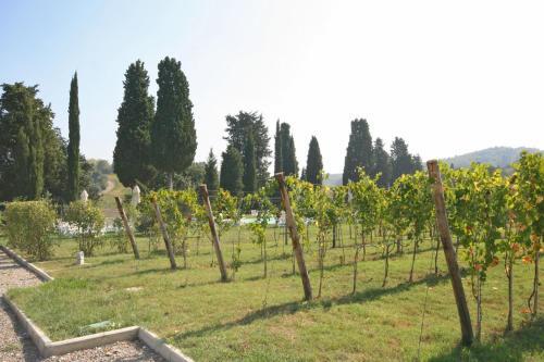 Canneto Apartment Sleeps 10 Pool Air Con Wifi