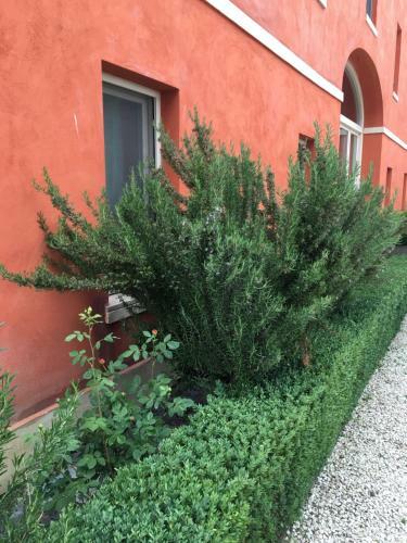 Bed & Breakfast Guest House Laquercia Luxury Suites