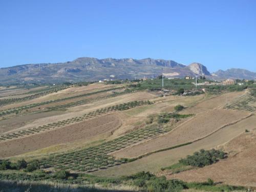 Sun-drenched Estate Close To Sciacca Just 7km From The Beach