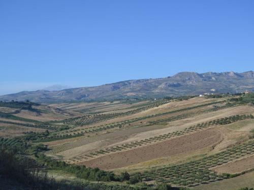 Sun-drenched Estate Close To Sciacca Just 7km From The Beach
