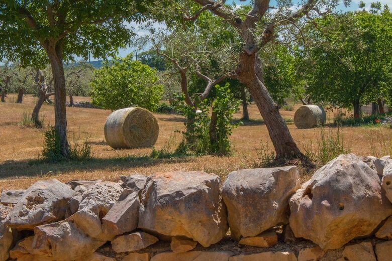 Villa Trulli&dimore - I Trulli Di Annetta