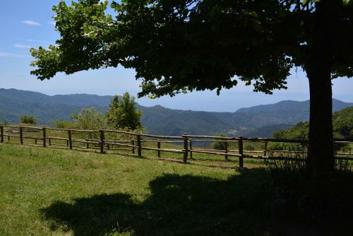 Agroturismo Agriturismo Monte Pu'
